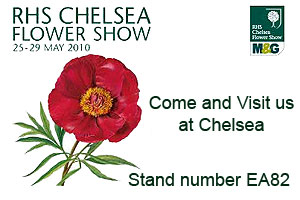 RHS Chelsea Flower Show 2010